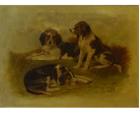 Late 19th century portrait of three dogs, oil on canvas, signed E. Lamb, 29cm x 39cm    Condition Report   Click here for fur