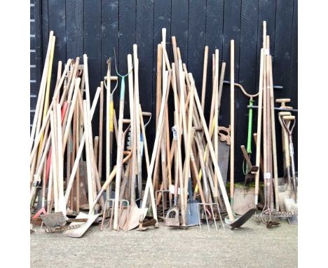 A larger collection of gardening hand tools