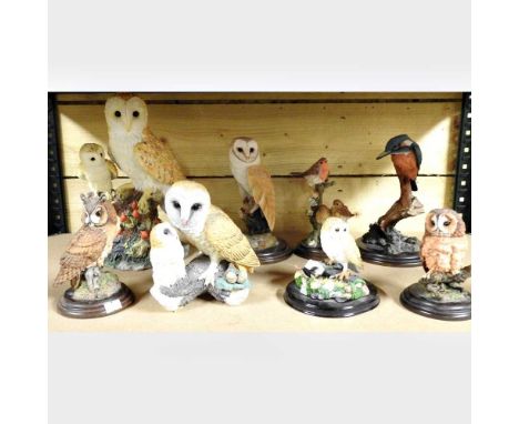 A Naturecraft model of an owl, 29cm high, together with seven various models of birds