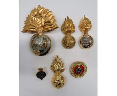 Small Selection of Current Busby Badgesconsisting QC white metal and gilt Royal Regiment of Fusiliers ... QC brass Royal Regi