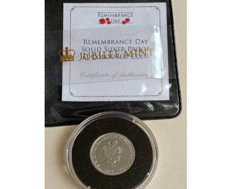 Solid silver proof Rememberance £1 coloured coin