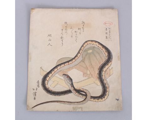 A JAPANESE MEIJI PERIOD SURIMONO WOODBLOCK PRINT BY HOKKEI, depicting a snake coiled about two large vegetables, 8.3in x 7.3i