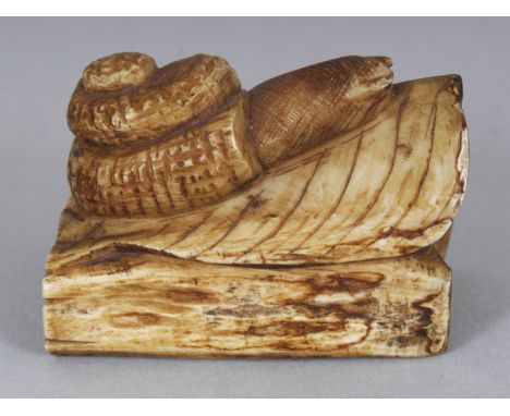 AN EARLY 20TH CENTURY SIGNED JAPANESE STAINED BONE NETSUKE OF A SNAIL, crawling along a leaf above two logs, 1.75in long &amp