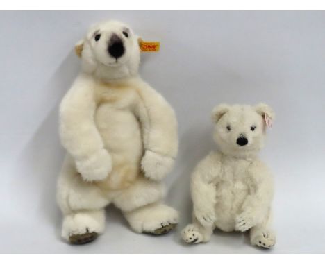 A Steiff plush polar teddy bear twinned with smaller Steiff polar teddy bear, largest 350mm 