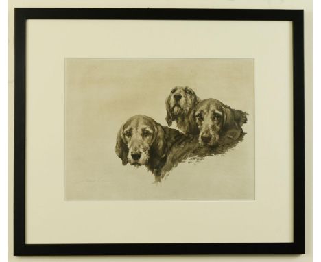 Maud Earle (1864-1943). 'Ancient Britons', a study of three Welsh foxhounds, early 20th century gravure print, signed in penc