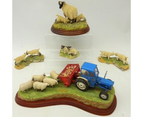 Border Fine Arts group of tractor feeding sheep, 'Spring Supplement', 33cm and four other Border Fine Arts groups of sheep an