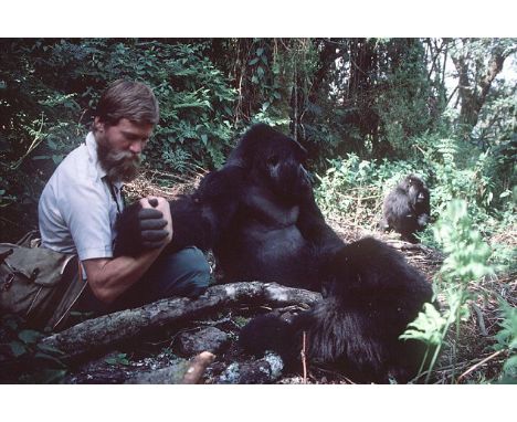 Gorillas in the MistA once in a lifetime opportunity for two to visit Uganda's mountain gorillas with Ian Redmond.  Ian is re