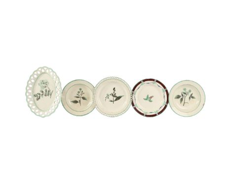 A GROUP OF FIVE LATE 18TH CENTURY CREAMWARE BOTANICAL PLATES DECORATED BY WILLIAM ABSOLON OF YARMOUTH. the central fields wit