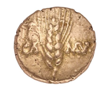 Celtic Gold Stater, Trinovantes and Catuvellauni, Cunobelin ‘plastic’ type, circa 8-41AD; obv. vertical corn ear without cent