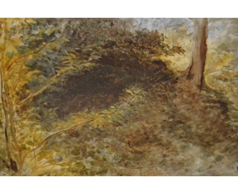 John Linnell, oil sketch on board, woodland study, inscribed ' Example of Process ', framed, gallery label and provenance ver