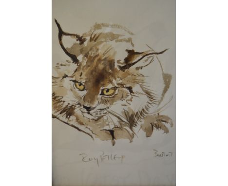Roy Petley, watercolour sketch ' Bobcat ', 37 x 27cm together with three others similar, all unframed