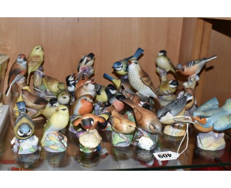 A LARGE QUANTITY OF ROYAL WORCESTER BIRDS, comprising  matt glazed 3235 Kingfisher, 3234 Thrush, 3376 Coal Tits, 3375 Blue ti