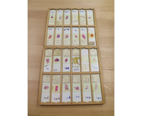 A collection of microscope and photographic slides of Medical and Zoological interest, plus further cased crystals and mahoga