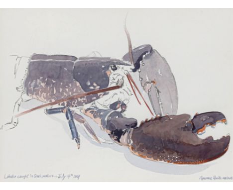 Rosanne Guille MA (RCA) (Sark, b.1973), 'Lobster Caught in Sark Waters, July 14th 2007' watercolour, signed lower right and t