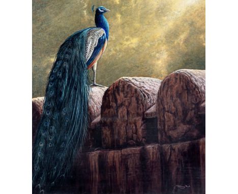 Jeremy Paul (British, b.1954), Peacock in the morning light acrylic, signed lower right 14½ x 13in. (36.8 x 33cm.) * Good con