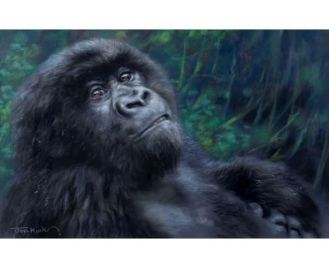 Joel Kirk (British, b.1948), Portrait of a young gorilla pastel, signed lower left, ogee gilt frame 12 x 18¾in. (30.5 x 47.6c