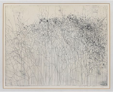 Lukie de Bree (Dutch, b.1953), Flowering vine, etching, signed, dated 1981 and numbered 4/20 lower right, 16 x 20¼in. (41 x 5