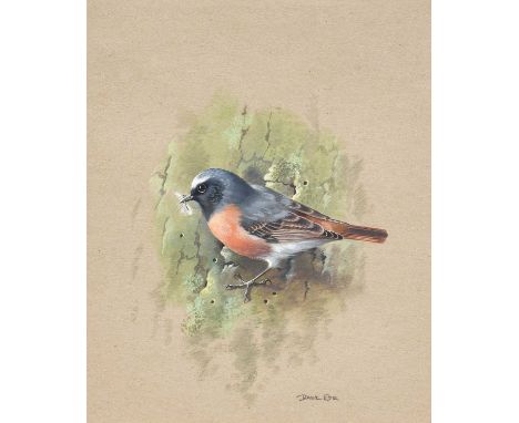 Basil Ede (b.1931) Bird feeding on a tree trunk Signed, watercolour and gouache heightened with white, together with a furthe
