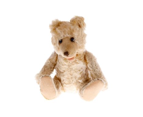 STEIFF Teddy-Baby, weißes Langhaar-Mohair, braune Nasen- und Pfotenbestickung, ohne Knopf und Fahne, eine kleine Fehlstelle a