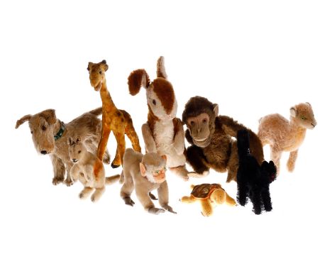 Konv. 9 Tiere, meist STEIFF, verstaubt, teilweise Mohairverlust, bespielt