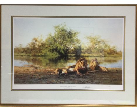 A framed and glazed signed and numbered David Shepherd print 'African Evening - Zambezi Waterhole', approx 82.5cm x 63cm. Shi