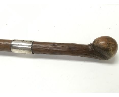 A walking stick with silver collar. 86cm tall.