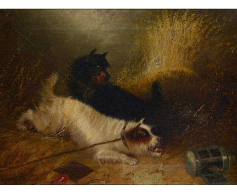 EDWARD ARMFIELD (1817-1896) TERRIERS IN A BARN signed, oil on canvas, 29 x 39cm ++Unlined with several small patched repairs 