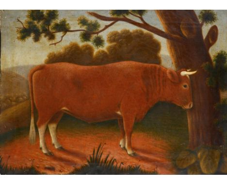 ENGLISH NAIVE ARTIST, 1854 PORTRAIT OF A BULL with date on the stretcher, oil on canvas, 45 x 61cm, unframed ++In good unrest