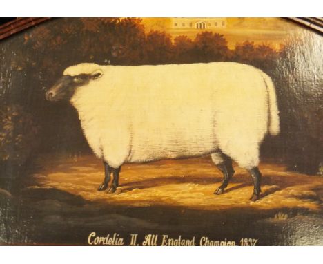 20TH CENTURY ENGLISH SCHOOL "Cordelia II All England Champion 1837", study of a sheep, colour print, together with various ot