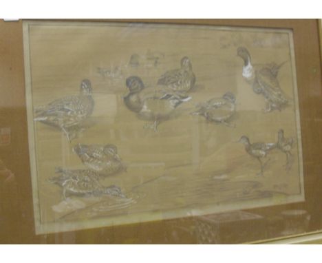 PETER L. DAY "Mallard, Teal, Pintail and Red Shank" pencil studies heightened in white signed lower right