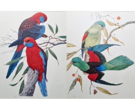 After Robin Hill (Australian 1932-) Colour print Two limited edition prints of parrots, signed and numbered 101/280 & 102/200