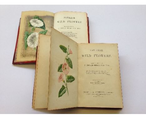 Familiar Wild Flowers, figured and described by F Edward Hulme, publ. Cassell & Company, first and second series.