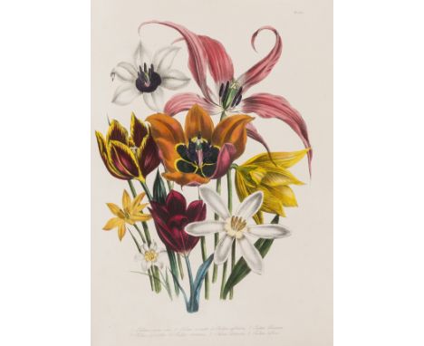 Loudon (Jane) The Ladies' Flower-Garden of Ornamental Bulbous Plants, first edition, 58 hand-coloured plates, tissue-guards (