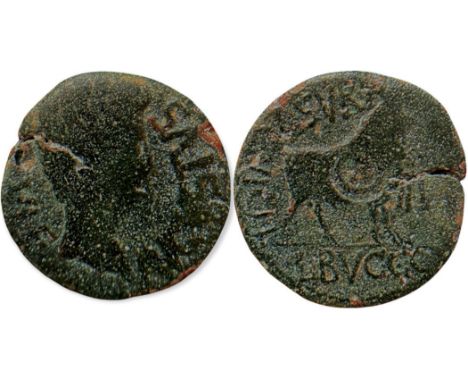 AVGVSTVS DIV, bare head right/  L. SVRA/ L. BVCCO/ II. VIR. C. V. I. CEL, bull standing right, countermarked R in circle. ACI