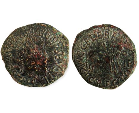 TI CAESAR DIVI AVG F AVGVSTVS, laureate head right/ M C I C RECTO- C CELERE, bull standing right, in front II/VIR. ACIP-3130b