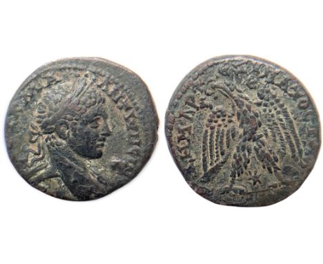 AYT K MA ANTŒ©NEINOC CEB, laureate, draped and cuirassed bust right / ŒîHMA[PX EŒû YŒ†AT]OC TO B, Eagle standing facing, head