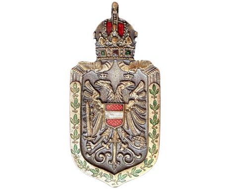 Breast Badge, 40x20 mm, silvered Metal, partially enameled, horizontal pin on the back.  Scarce! I R!