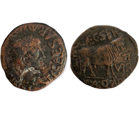  TI CAESAR AVGVST F IMPERATOR, laureate head right/ Bull to right, above C CAEC SER, below M VAL QUAD, on the sides MVN TVR V