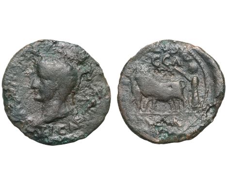 TI CAESAR DIVI AVGVSTI F AVGVSTVS, Laureate head left/ M CATTOL VETTIACVS / CCAA, priest plowing with team of oxen. In exergu