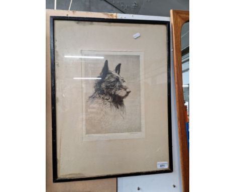 H Goffey, 'Garry', engraving, portrait of a collie dog, plate mark 19.5cm x 27.5cm, signed in pencil to border, framed and gl