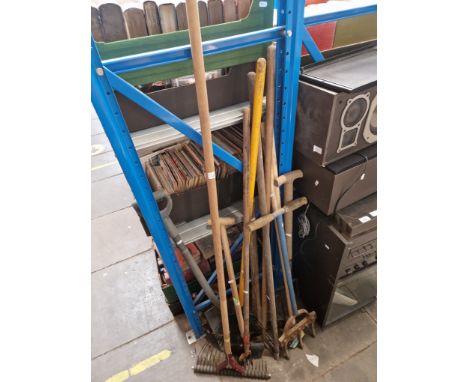 A collection of garden tools to include hoes, rakes etc 