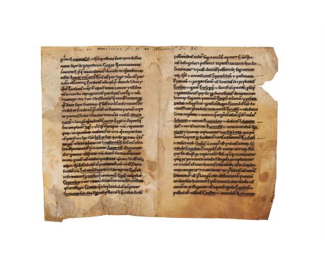 Bifolium from a herbal glossary in the Synonyma tradition, in Latin, manuscript on parchment [France, twelfth century] Two co