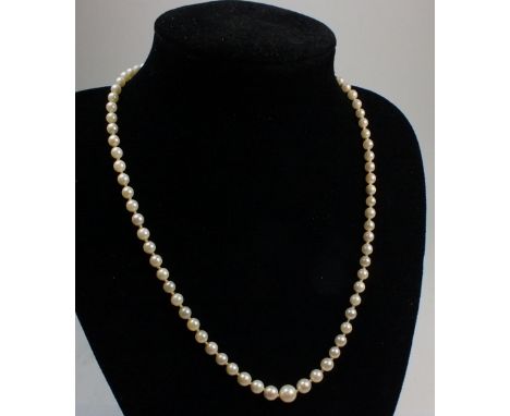 A graduated pearl necklace with 9ct gold clasp, set garnet &amp; seed pearls, 40cm 