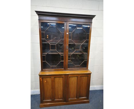 AN EARLY 20TH CENTURY MAHOGANY ASTRAGAL GLAZED TWO DOOR DISPLAY CABINET, above double panelled cupboard doors, width 127cm x 