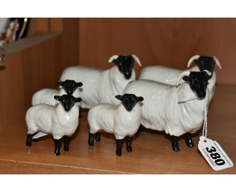 A FLOCK OF SIX BESWICK SHEEP, comprising three gloss 'Black Faced Sheep' and three gloss 'Black Faced Lambs', model numbers 1