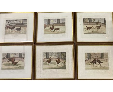 C R STOCK engravings - a set of 6 - cock fighting related plates, 34 x 38cms overall size