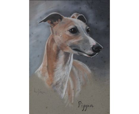 LYN DIXON (XX). 'Pippin', a portrait head and shoulders study of a greyhound, signed lower left, pastel, framed and glazed, 3