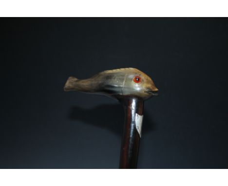 AN EARLY 20TH CENTURY WALKING STICK WITH CARVED HORN HANDLE IN THE FORM OF A COMICAL FISH, with inset glass eyes, having hall