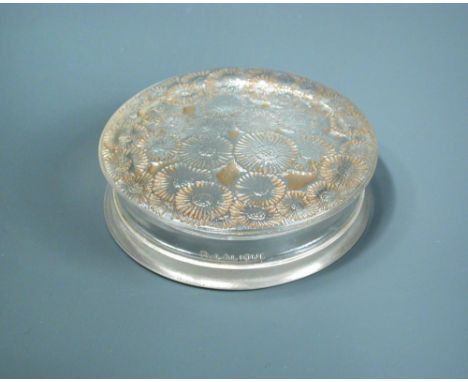 Marguerites, an R. Lalique glass box and cover, the cover with pink highlighting, moulded R. Lalique mark 2.25 x 8cm (1 x 3in