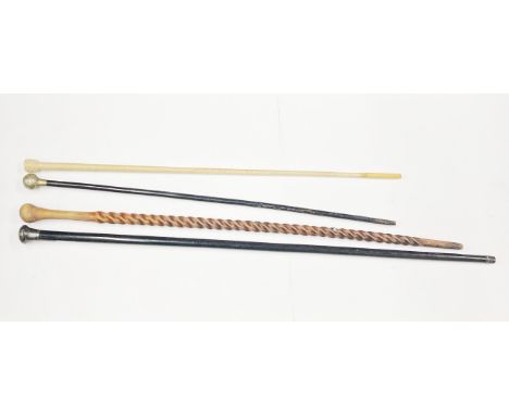 A group of walking stick and military swagger sticks.